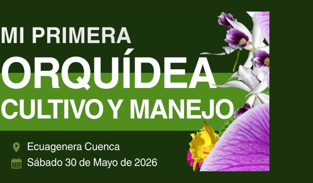 Copia de Becas